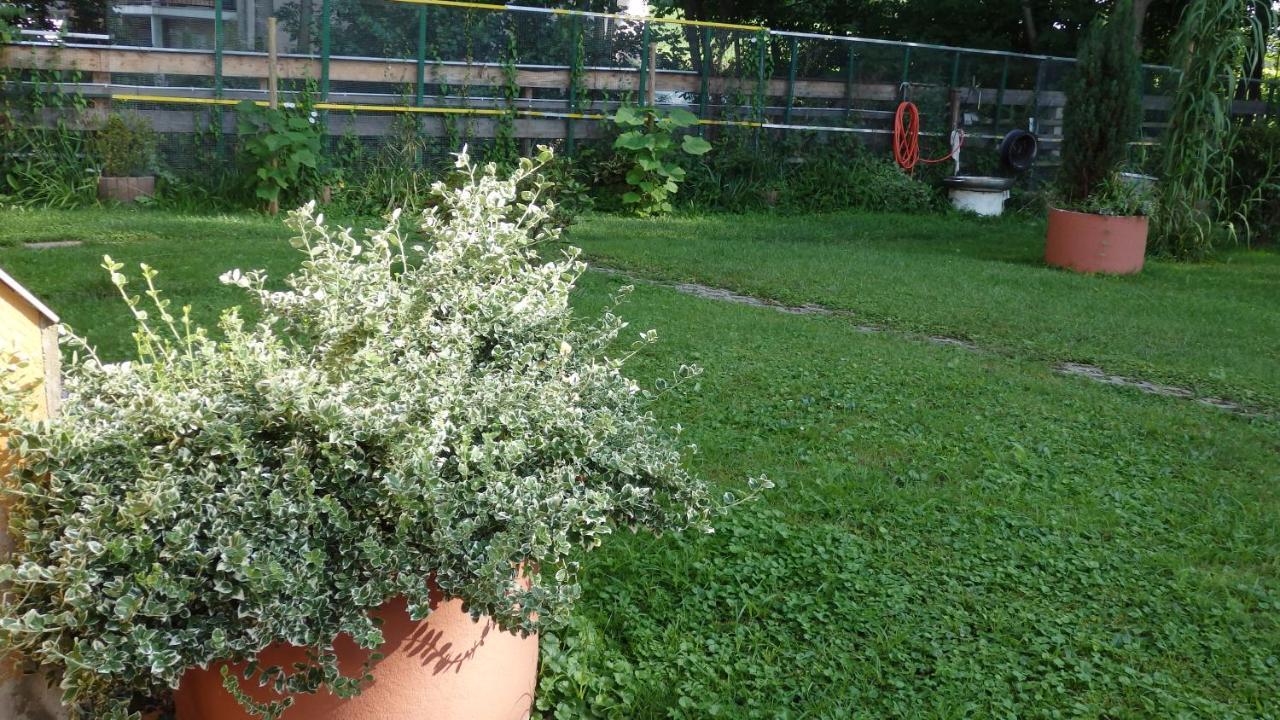 Hotel Sud Alsace Ranspach-le-Bas Εξωτερικό φωτογραφία